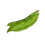 Bohnen