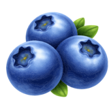 Heidelbeeren